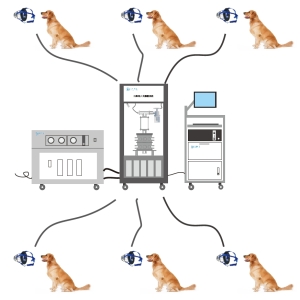 大动物口鼻吸入式暴露系统​（犬、猴）